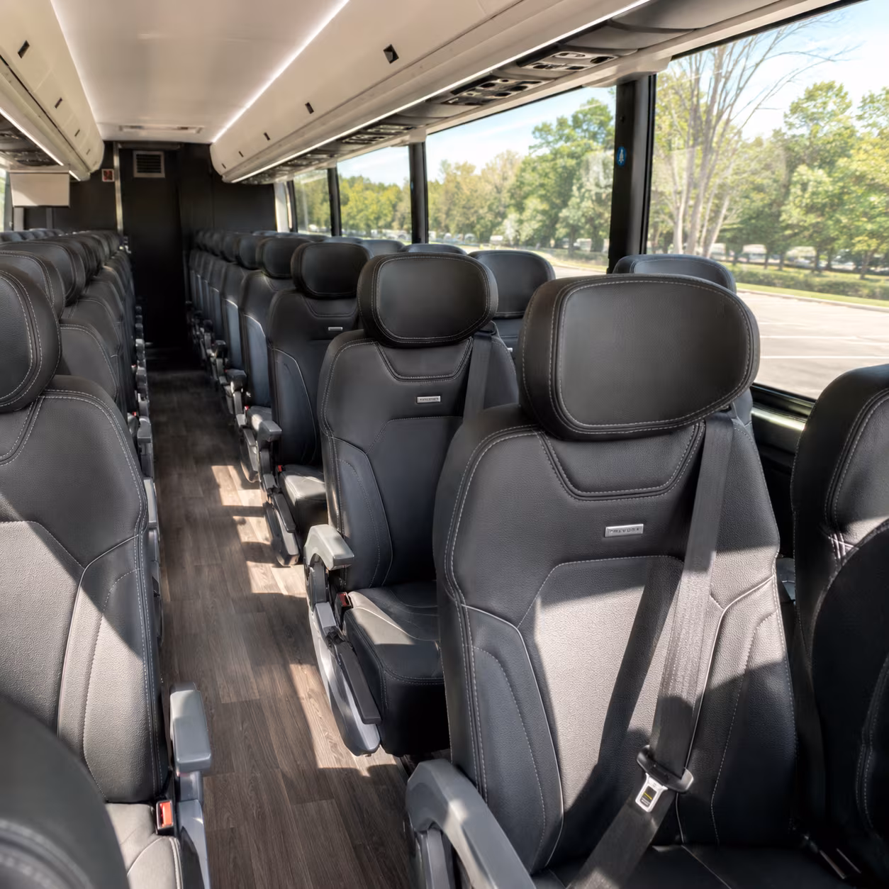 bus rentals